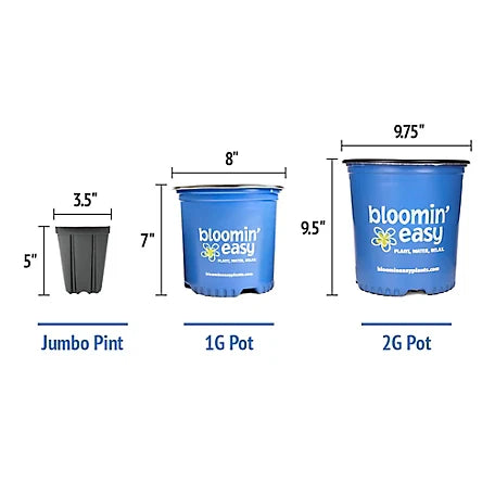 Blue pot size chart labeled Jumbo Pint, 1G pot, and 2G pot with measurements