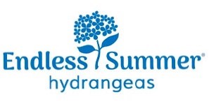 Endless Summer® Twist-n-Shout® | Reblooming Lacecap Hydrangea