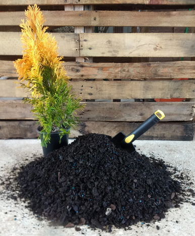 Potting soil mound with young plant and gardening hand trowel