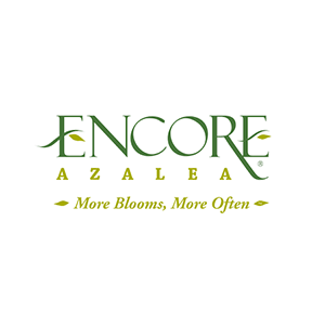 Encore Azalea logo text with 'More Blooms, More Often'