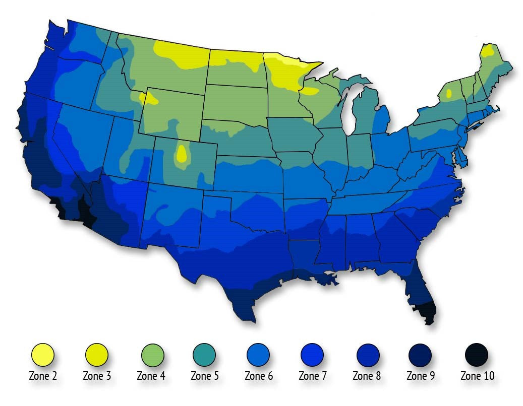 Azalea planting zone map of the US with zones 2–10 shown in blue shades